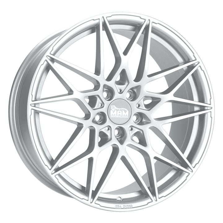 B2 SILVER PAINTED